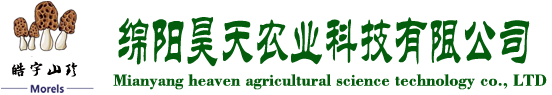 &#26131;&#28216;&#40;&#20013;&#22269;&#41;&#121;&#105;&#121;&#111;&#117;
