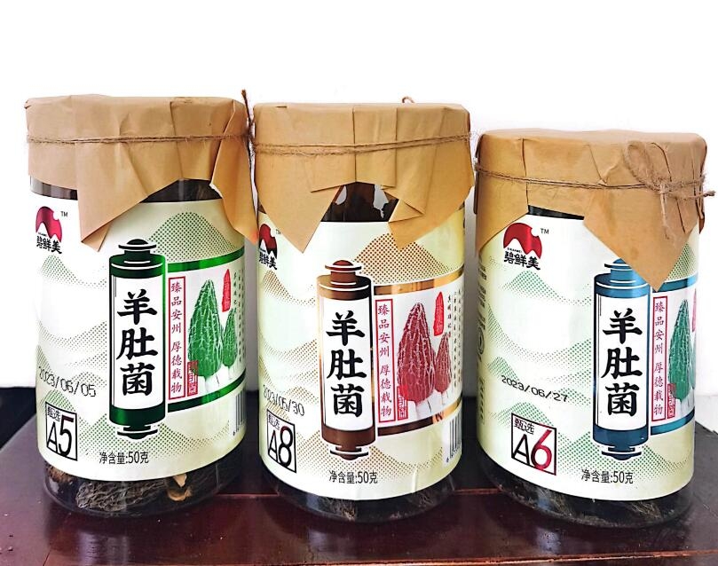 &#26131;&#28216;&#40;&#20013;&#22269;&#41;&#121;&#105;&#121;&#111;&#117;