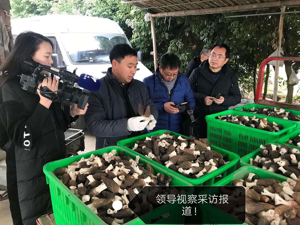 &#26131;&#28216;&#40;&#20013;&#22269;&#41;&#121;&#105;&#121;&#111;&#117;