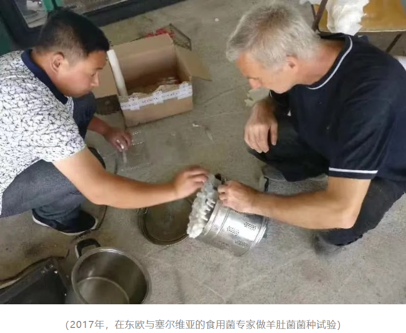 &#26131;&#28216;&#40;&#20013;&#22269;&#41;&#121;&#105;&#121;&#111;&#117;